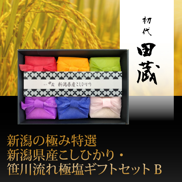 初代田蔵　新潟の極み特選新潟県産こしひかり・笹川流れ極塩ギフトセットB