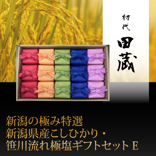 初代田蔵　新潟の極み特選新潟県産こしひかり・笹川流れ極塩ギフトセットE