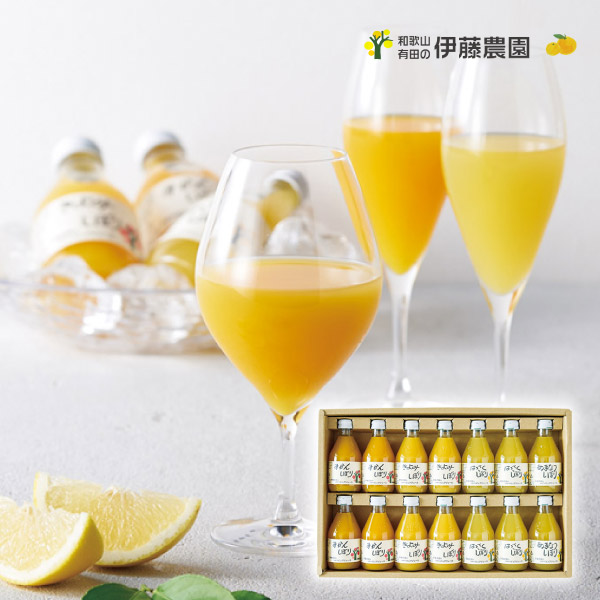 伊藤農園 100%ピュアジュース14本ギフトセット