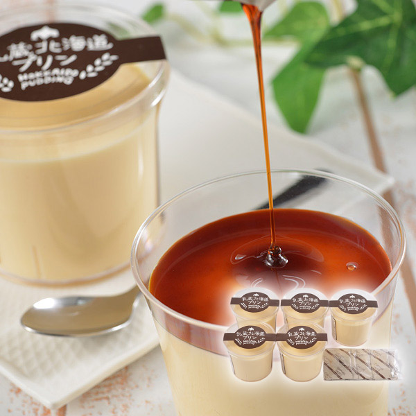 乳蔵 北海道プリン 5個入