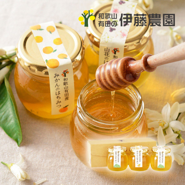 伊藤農園 有田のはちみつ 3個入