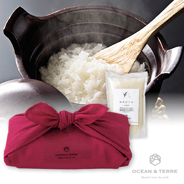 TSUTSUMI 瑞穂の恵み 北海道産 ゆめぴりか