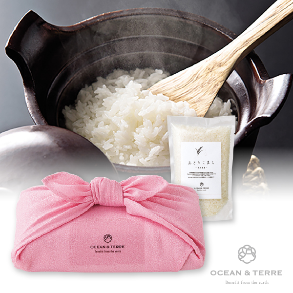 TSUTSUMI 瑞穂の恵み 秋田産 あきたこまち