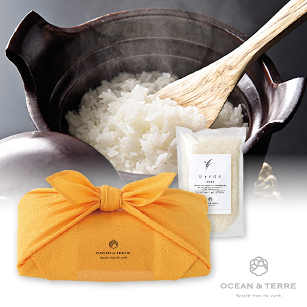 TSUTSUMI 瑞穂の恵み 宮城産 ひとめぼれ