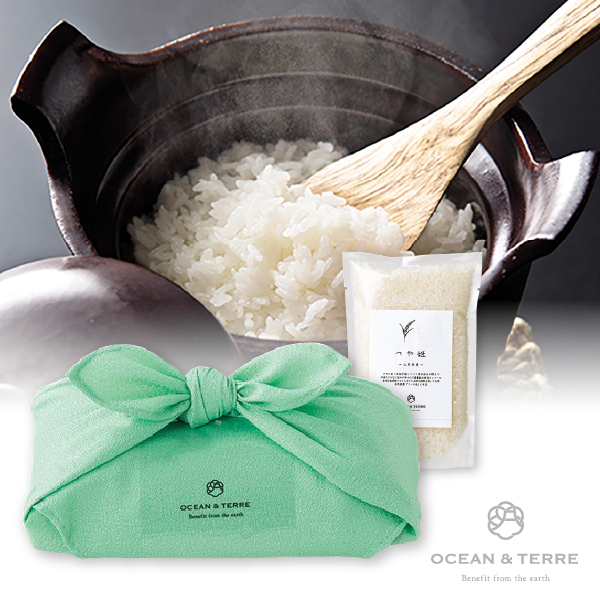 TSUTSUMI 瑞穂の恵み 山形産 つや姫