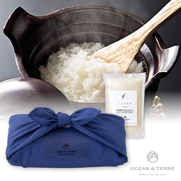 TSUTSUMI 瑞穂の恵み 新潟産 こしひかり