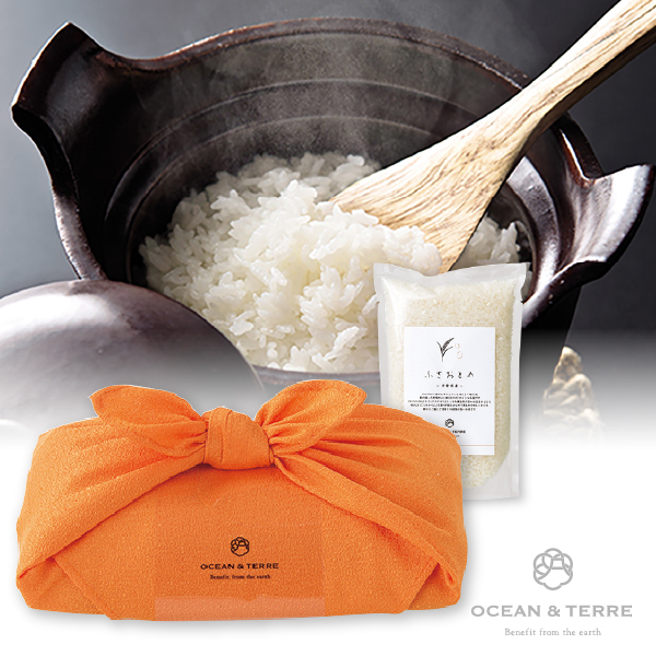 TSUTSUMI 瑞穂の恵み 千葉産 ふさおとめ