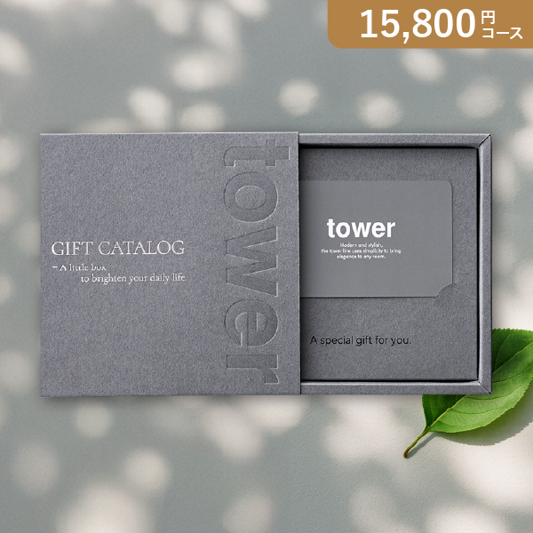 カード型カタログギフト 山崎実業 tower DGY